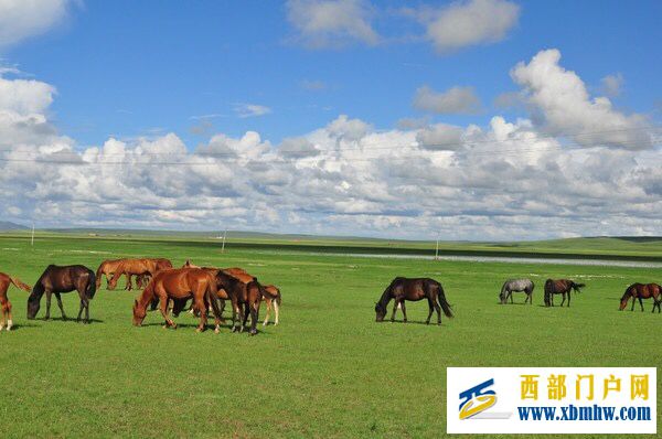呼伦贝尔及主要景点介绍(图17)