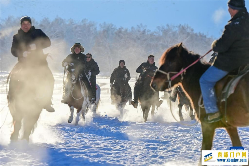 追着雪花看新疆丨冬闲变冬忙 “额河第一村