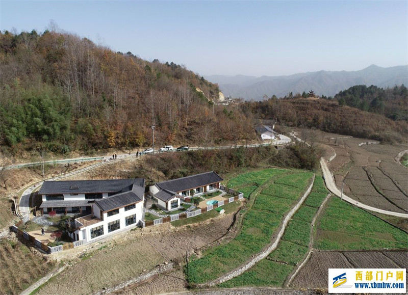 做好山间林下“绿文章”(图1) 做好山间林下“绿文章”(图1)