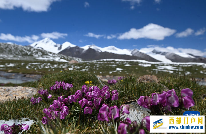 国家公园:家园与梦想(图3) 国家公园:家园与梦想(图3)