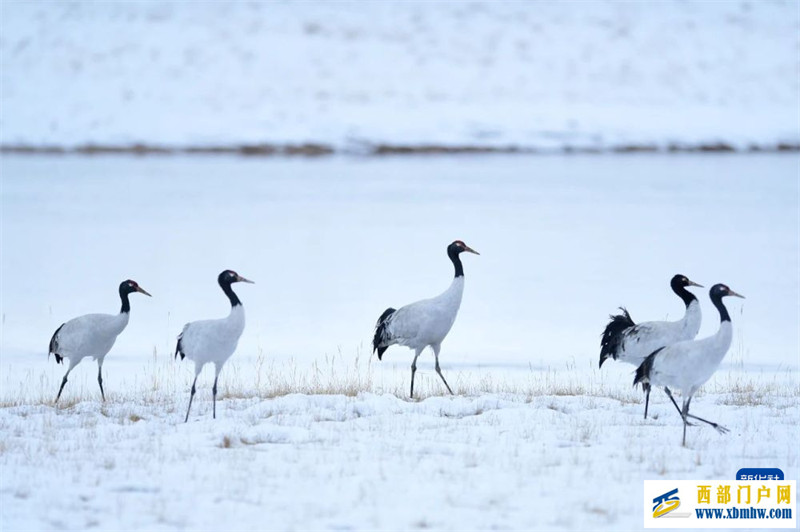 国家公园:家园与梦想(图5) 国家公园:家园与梦想(图5)