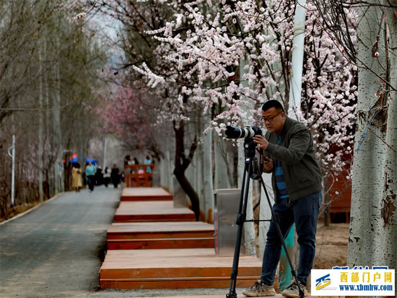 春有约 花不误 共赴拉面之乡的杏花之旅(图5) 春有约 花不误 共赴拉面之乡的杏花之旅(图5)