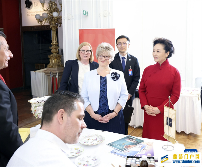 彭丽媛同匈牙利总统舒尤克夫人纳吉参观布达王宫并茶叙(图3)