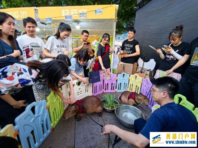 “瓜香溢山城·渝哈一家亲”活动在重庆市江北区隆重举行(图3)