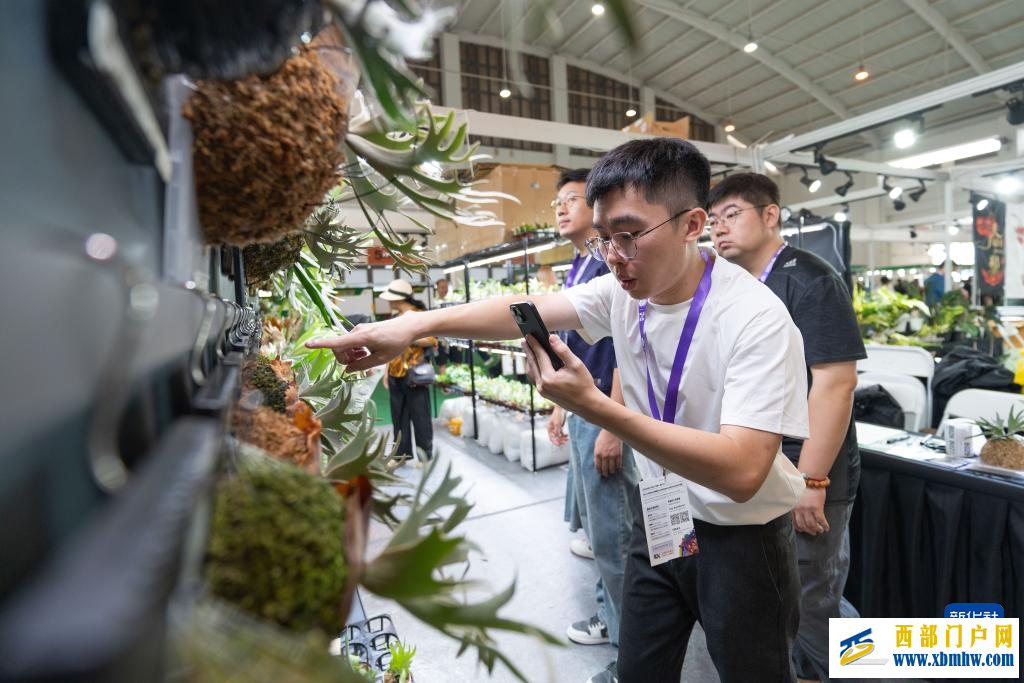 第二十三届中国昆明国际花卉展开幕(图6)