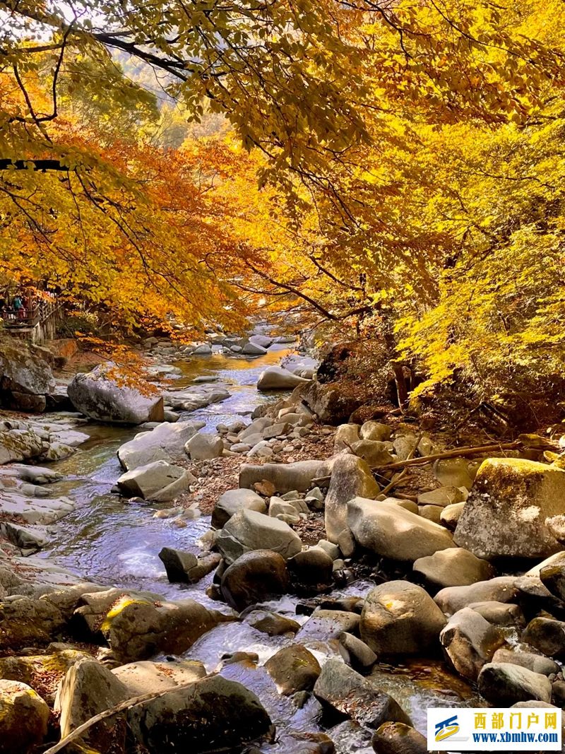 光雾山红叶最佳观赏期已至