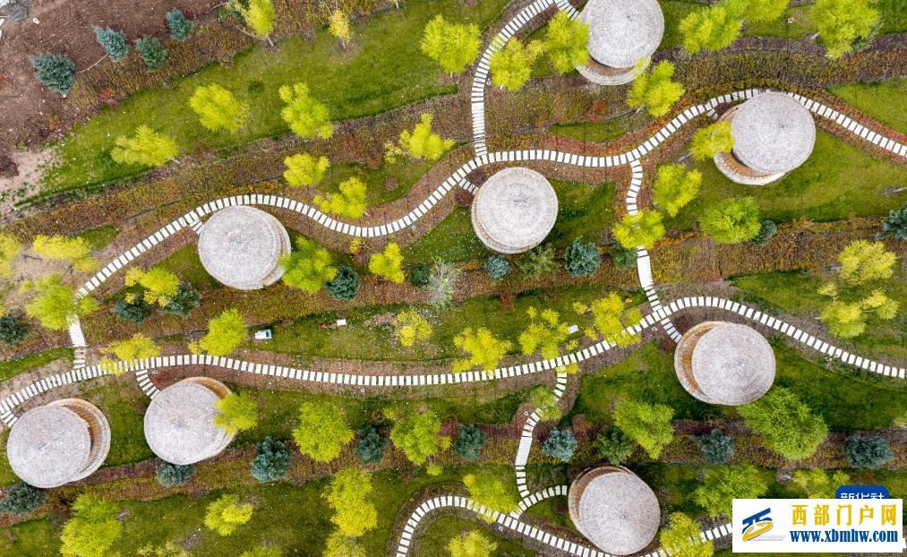 宁夏隆德：文明乡风为和美乡村“提亮增色”(图5)