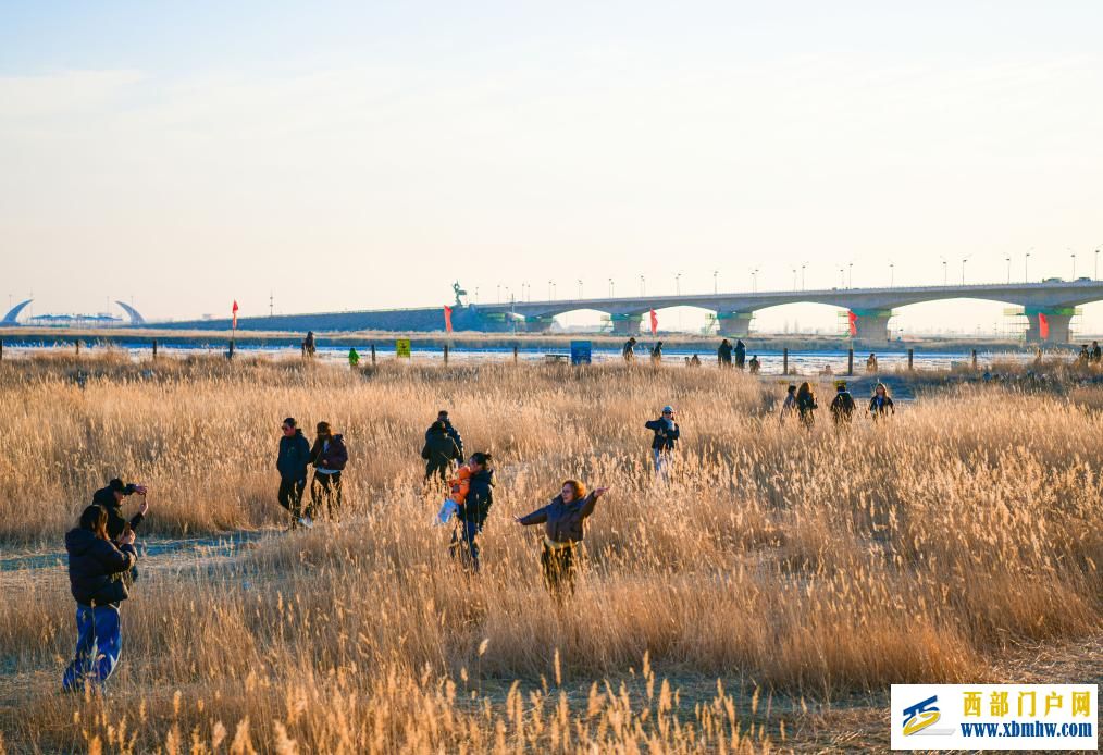 内蒙古包头：流凌盛景引游人(图11)