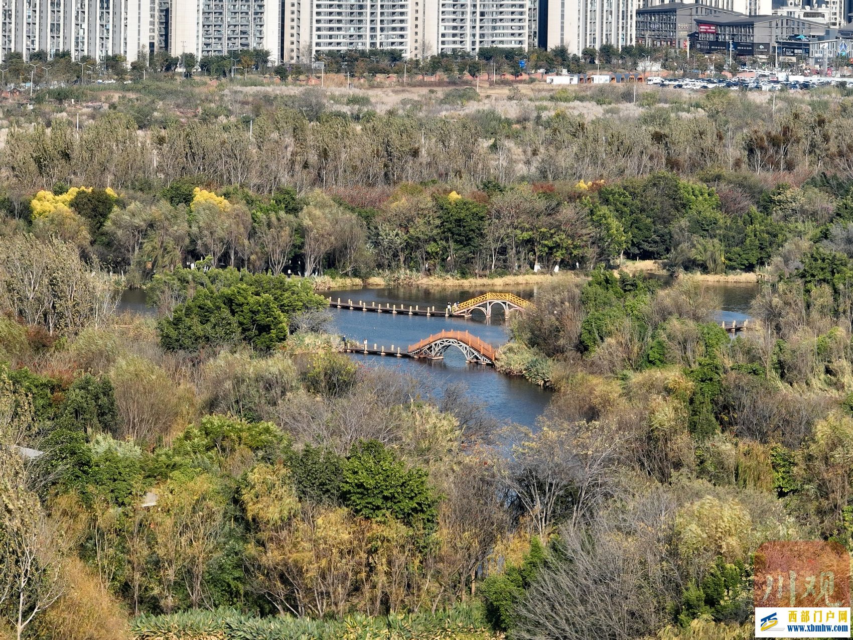 西昌邛海喊你来过“暖冬” 骑上单车闯入一片刺桐花海