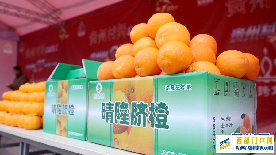 2025“贵州·村舞”系列活动在晴隆启幕(图5)