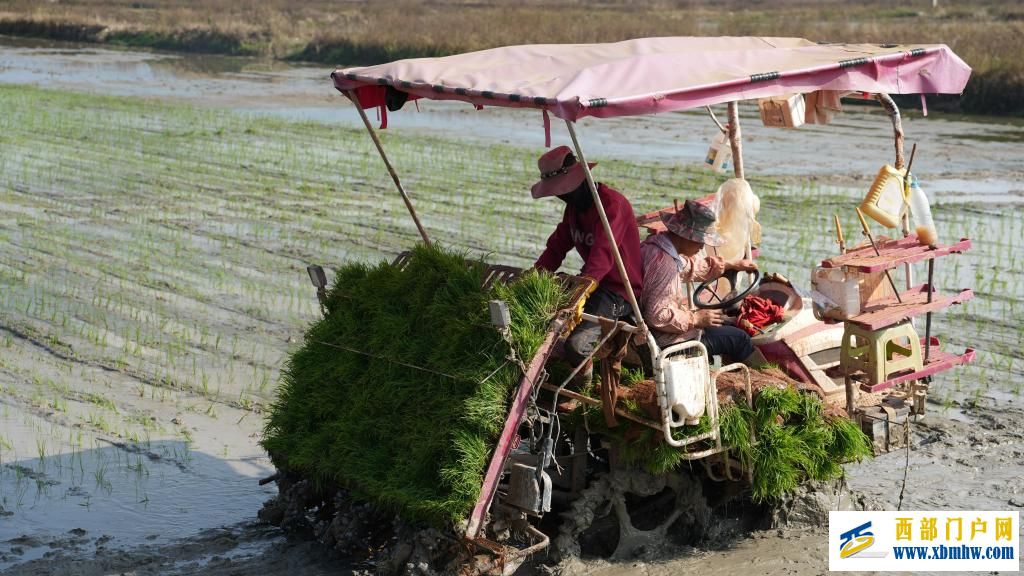 耕作在充满希望的春天