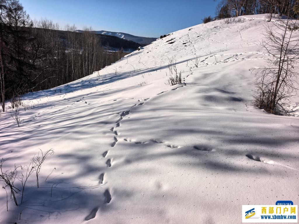 巡林一日，将思念留在额尔古纳河右岸
