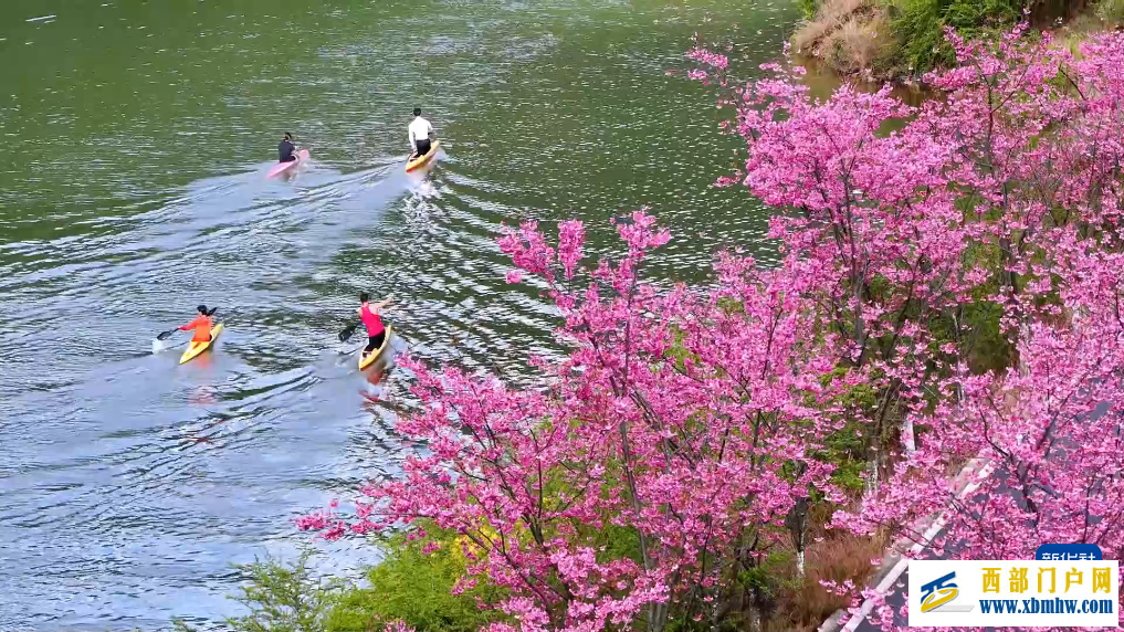 云南寻甸开启春日限定美景