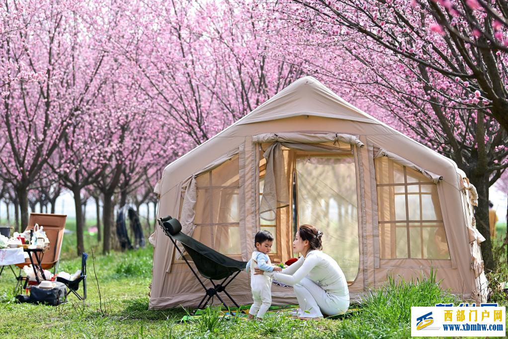 西安鄠邑：春日赏梅正当时