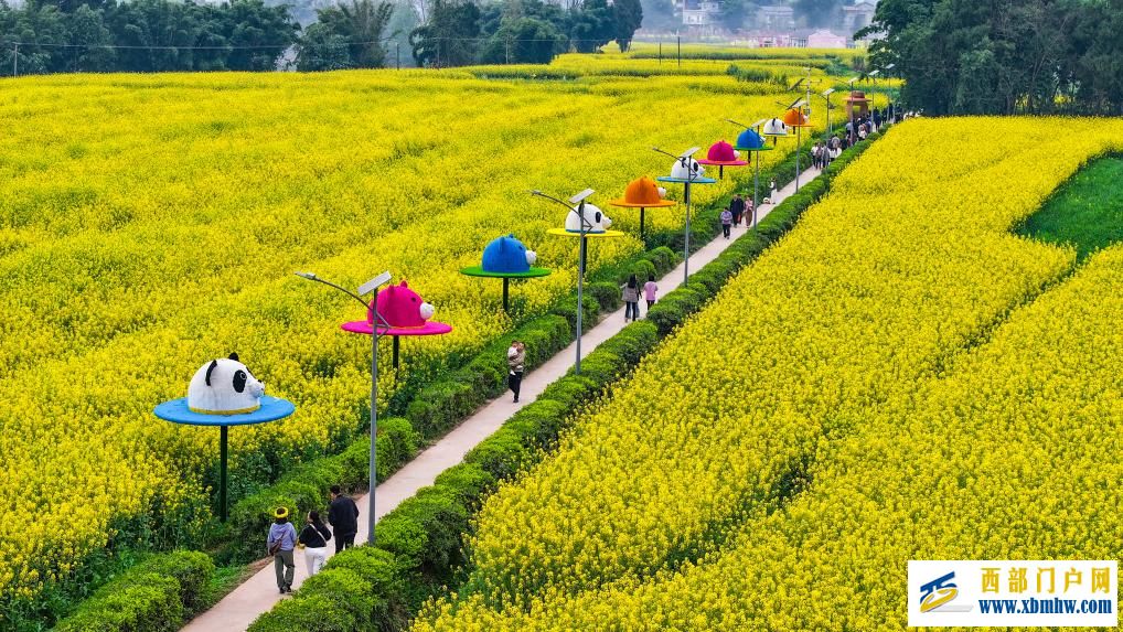 重庆潼南：油菜花开迎客来