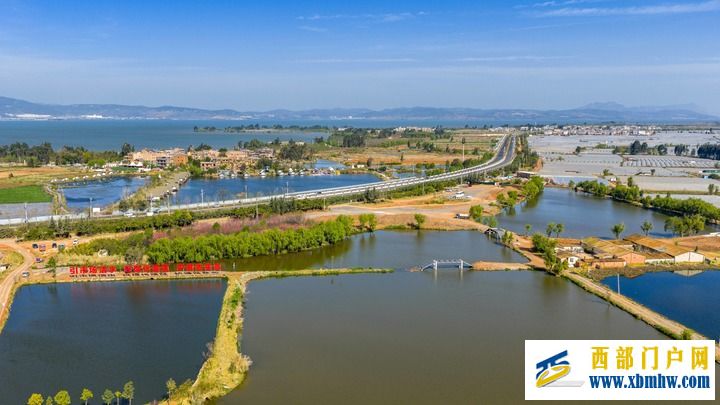 从“抽水浇地”到“刷卡灌溉”——滇池畔灌溉护农新事