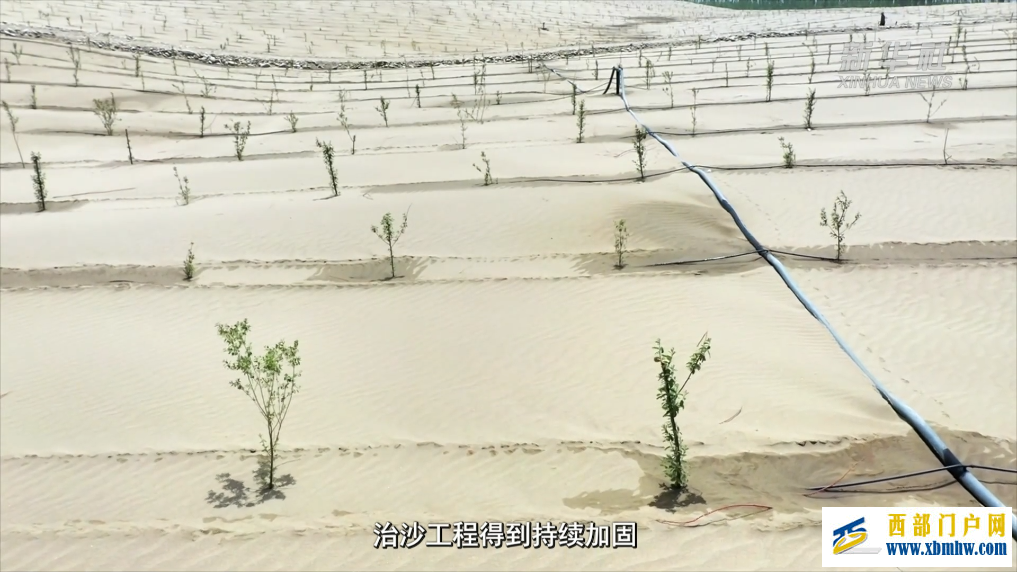 新疆和田市：不负好春光 添绿正当时(图3)