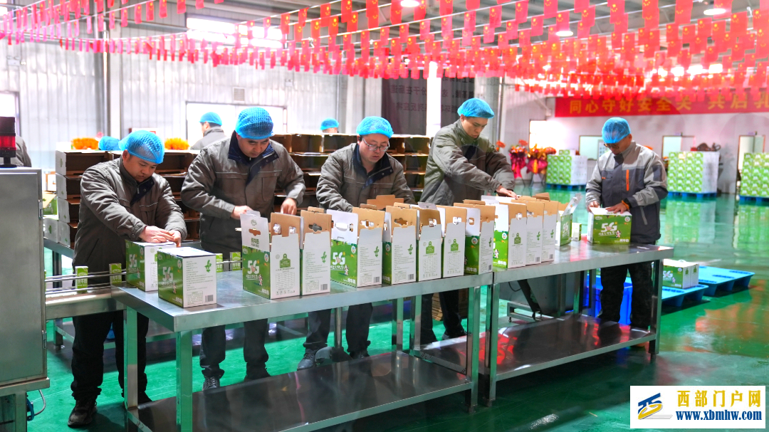 从牧场到餐桌的“鲜”机 兴庆区一杯奶的“共富之旅”(图4)