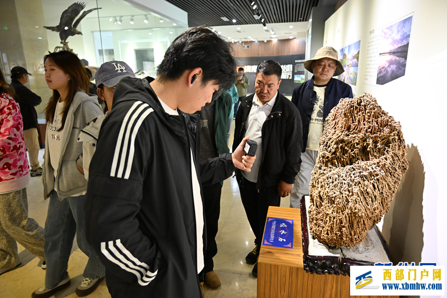走进黄河南蒙古历史文化博物馆